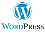 posicionamiento-web-badajoz-herramientas-wordpress1